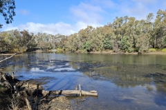 murray river, albury